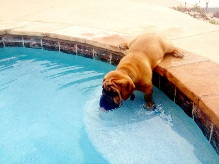 Acid Picdump (119 pics)