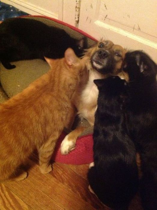 Acid Picdump (119 pics)
