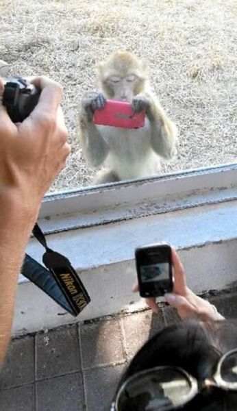 Acid Picdump (119 pics)