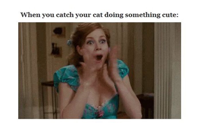 Did It Ever Happen to You When... Part 55 (16 gifs)