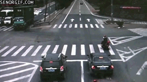 Close Calls (23 gifs)