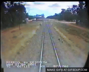 Close Calls (23 gifs)