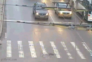 Close Calls (23 gifs)