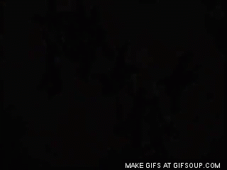 Close Calls (23 gifs)