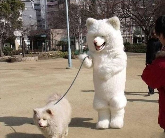 Not Every One Will Get This Fashion (28 pics)