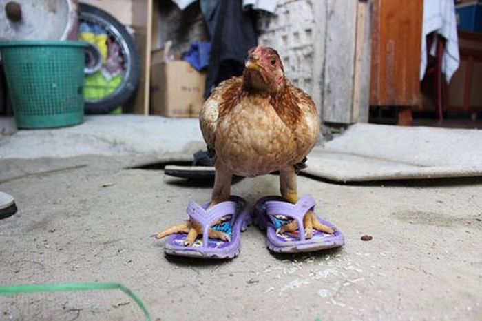 Not Every One Will Get This Fashion (28 pics)