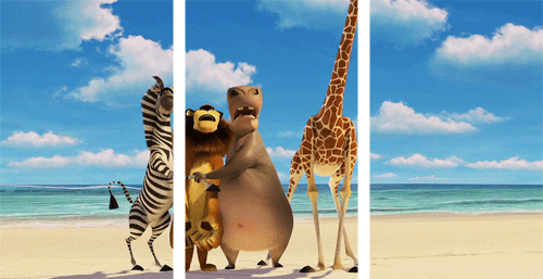 Amazing 3D Gifs. Part 2 (19 gifs)