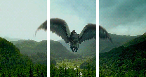 Amazing 3D Gifs. Part 2 (19 gifs)