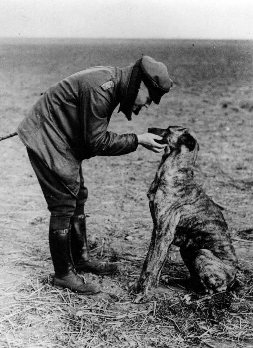 History Photo (50 pics)