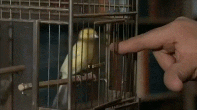 Acid Gifdump, September 02, 2013 (25 gifs)