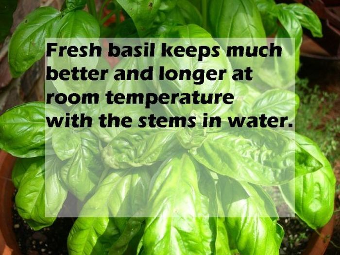 Secrets Of Cooking (24 pics)