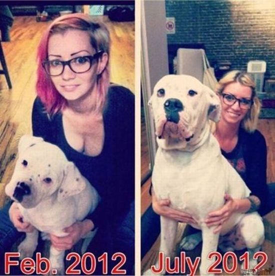 Pets Then and Now (31 pics)