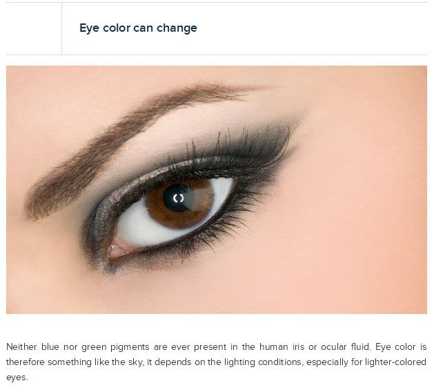 Interesting Facts About Your Eyes (25 pics)