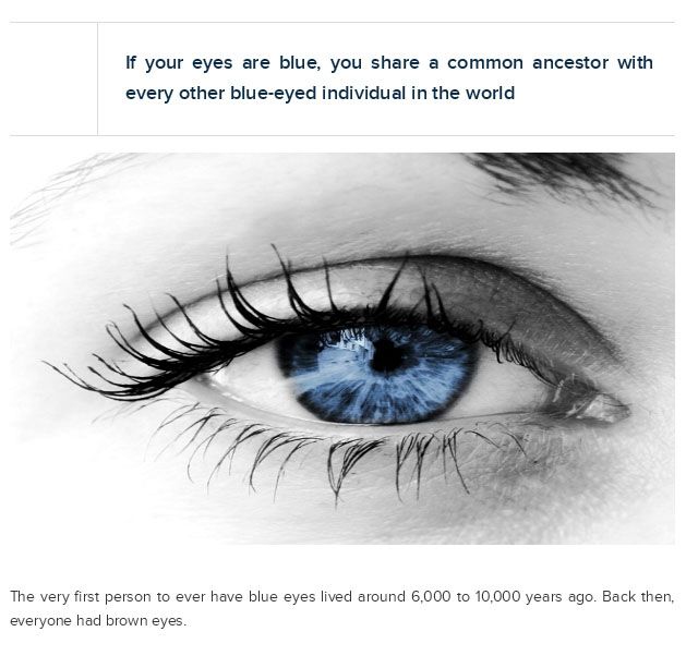 Interesting Facts About Your Eyes (25 pics)