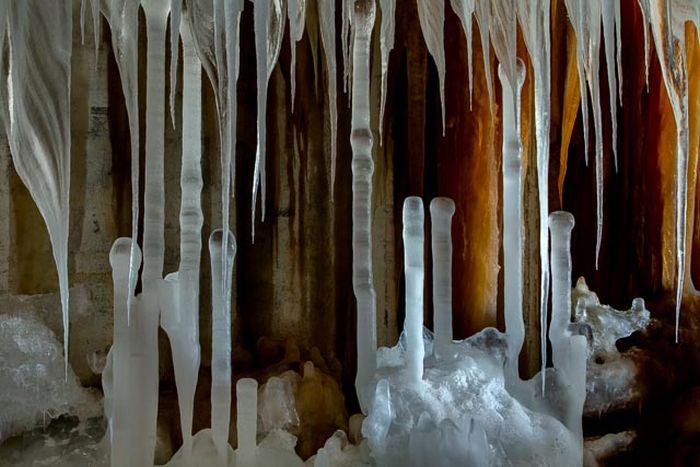 Fulton Market Cold Storage (10 pics)