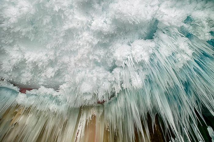 Fulton Market Cold Storage (10 pics)