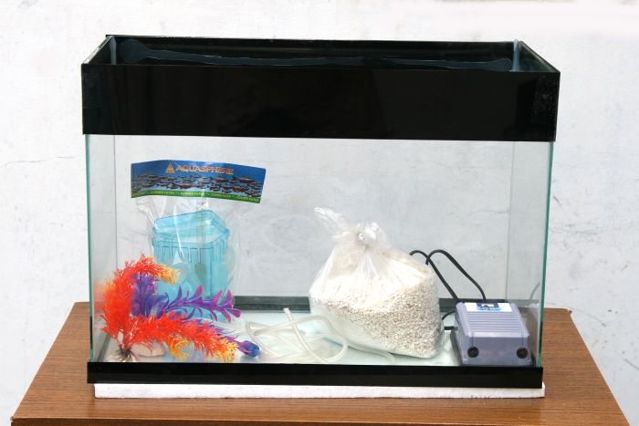 Fish Tank Made Out of an Old TV (20 pics)