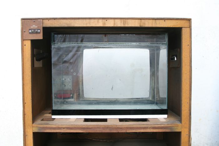 Fish Tank Made Out of an Old TV (20 pics)