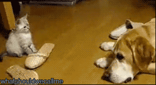 Did It Ever Happen to You When... Part 51 (16 gifs)
