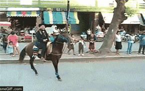 Back Flips Win and Fails (21 gifs)