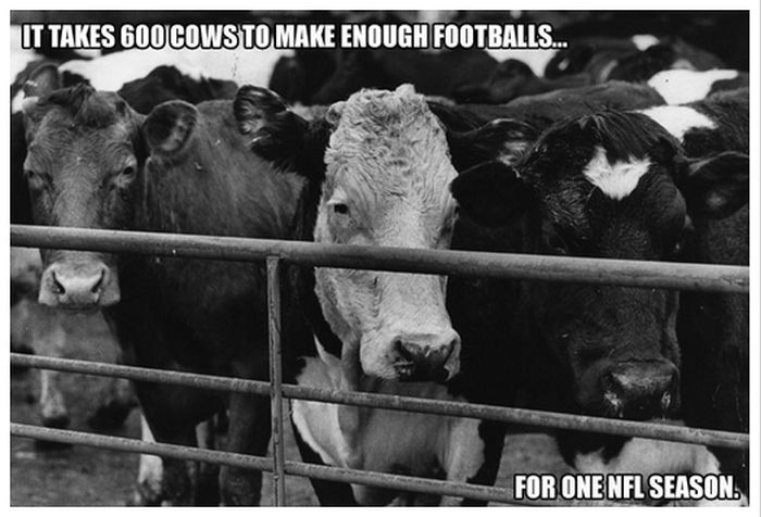 Interesting Football Facts (20 pics)