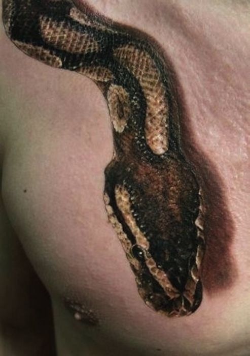 Hyperrealistic Tattoos (31 pics)