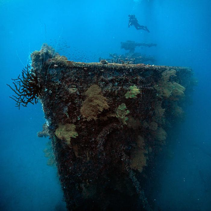 Chuuk Lagoon is the Largest Graveyard Of Ships (45 pics)