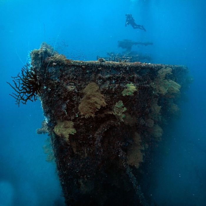 Chuuk Lagoon is the Largest Graveyard Of Ships (45 pics)