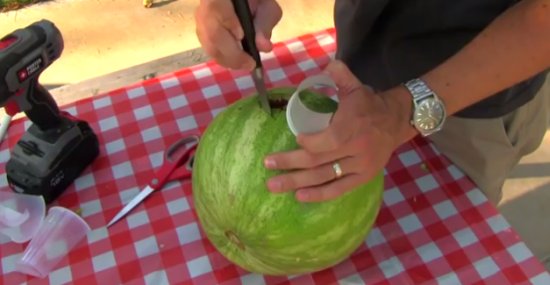 Watermelon Smoothie Life Hack