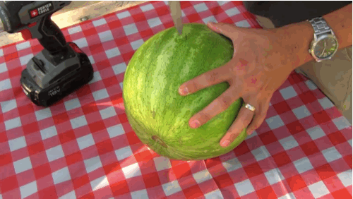 watermelon inside a watermelon gif