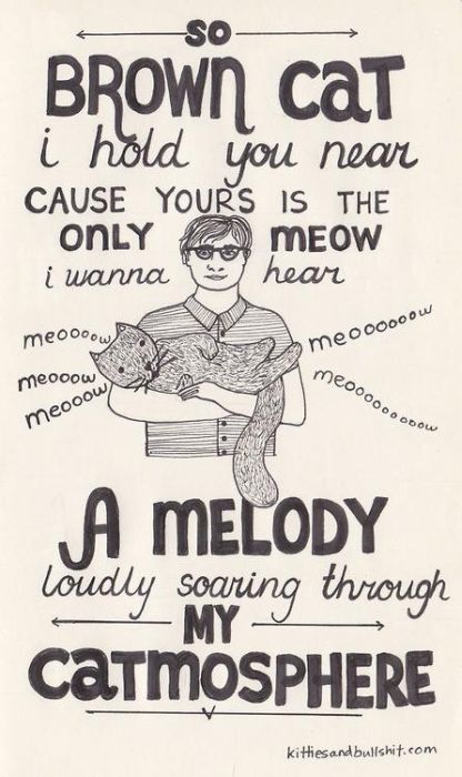 Classic Songs Made Better With Cats (20 pics)