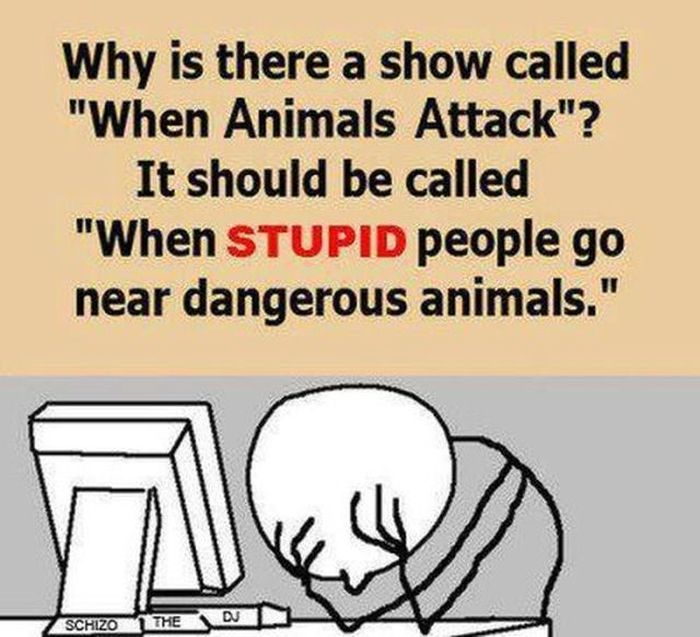 Facepalm Moments. Part 2 (62 pics)
