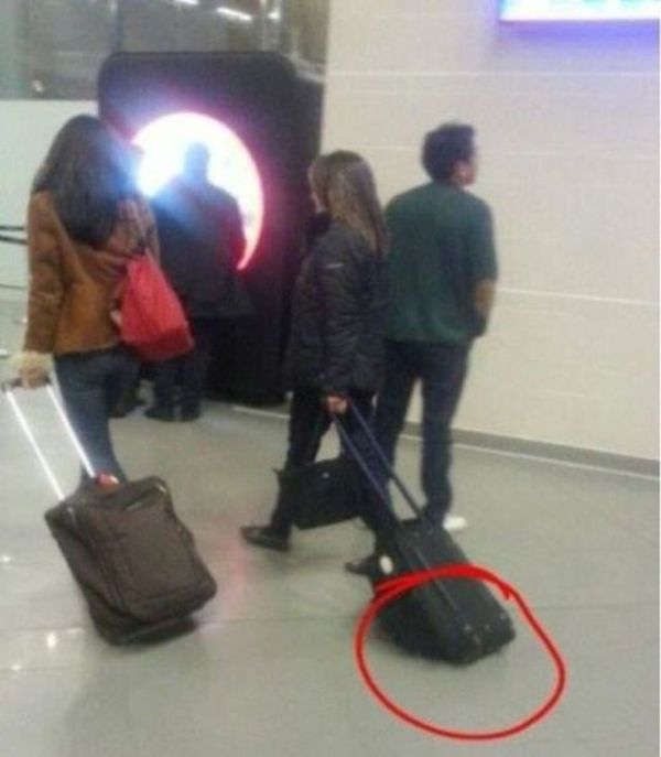 Facepalm Moments. Part 2 (62 pics)