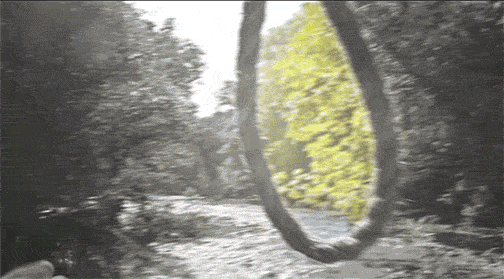 Acid Gifdump, September 06, 2013 (25 gifs)