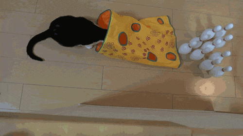 Acid Gifdump, September 06, 2013 (25 gifs)