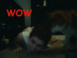 Acid Gifdump, September 09, 2013 (25 gifs)