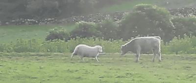 Acid Gifdump, September 09, 2013 (25 gifs)