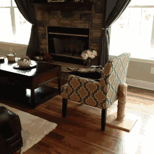 Acid Gifdump, September 09, 2013 (25 gifs)