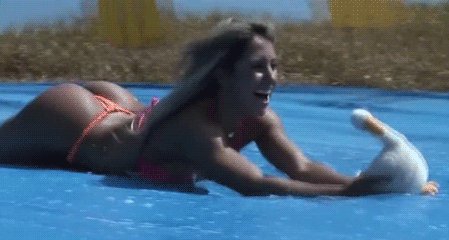 Acid Gifdump, September 10, 2013 (25 gifs)