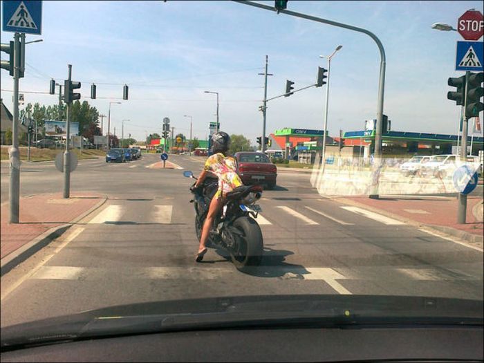 Funny and Odd Things Spotted on the Road (87 pics)