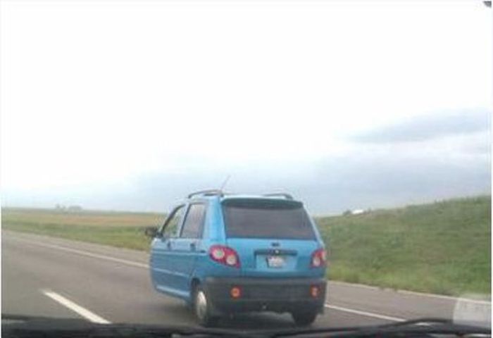 Funny and Odd Things Spotted on the Road (87 pics)