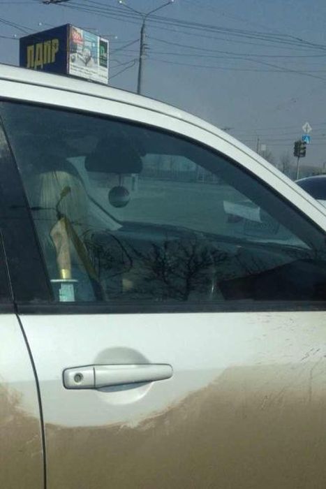 Funny and Odd Things Spotted on the Road (87 pics)