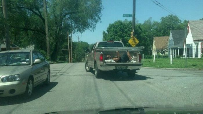 Funny and Odd Things Spotted on the Road (87 pics)