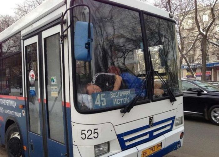 Funny and Odd Things Spotted on the Road (87 pics)