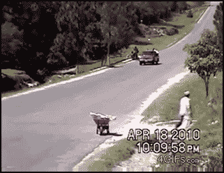 Fail GIFs (31 gifs)
