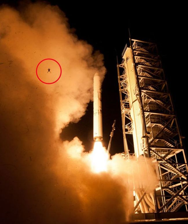 Frog Photobombs NASA Rocket Launch (4 pics)