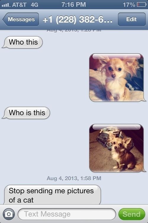 How to Respond to a Wrong Number Text (25 pics)
