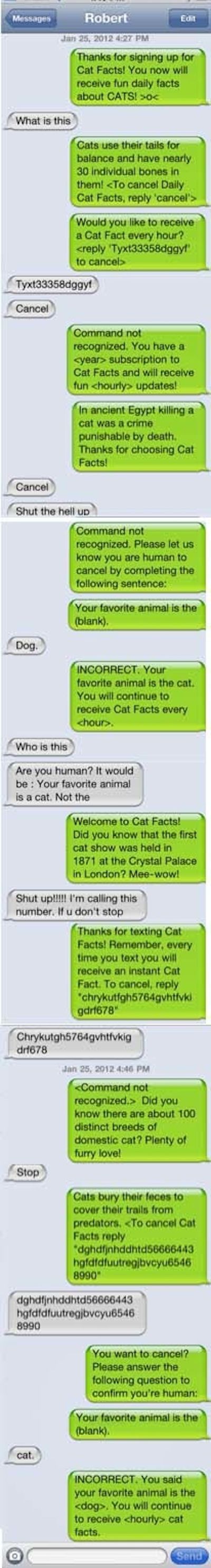 How to Respond to a Wrong Number Text (25 pics)