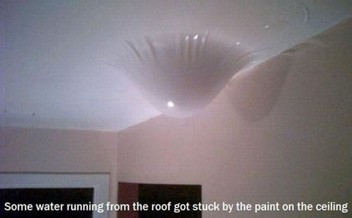 It Will make You Wonder (49 pics)