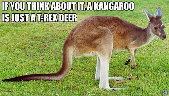 It Will make You Wonder (49 pics)